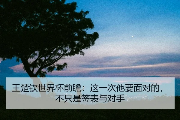 王楚钦世界杯前瞻：这一次他要面对的，不只是签表与对手